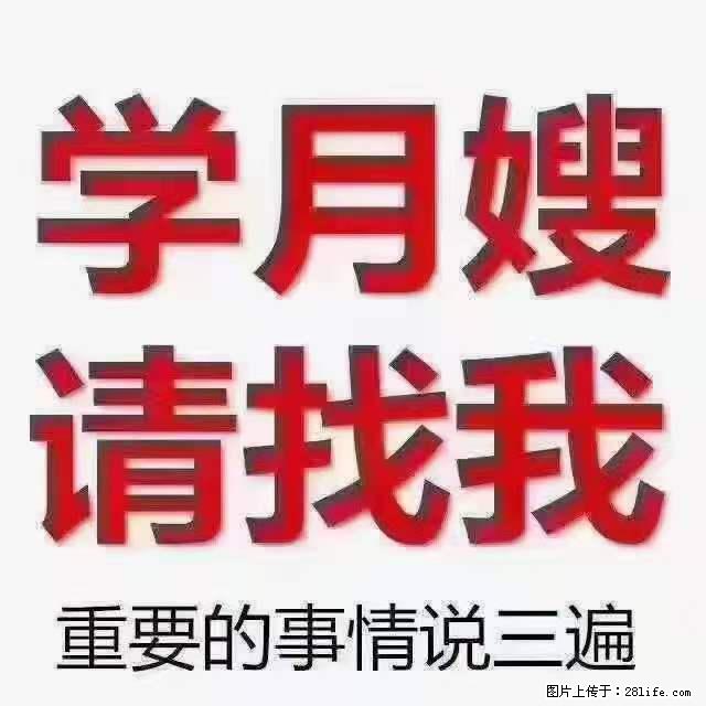 为什么要学习月嫂，育婴师？ - 其他广告 - 广告专区 - 湛江分类信息 - 湛江28生活网 zhanjiang.28life.com