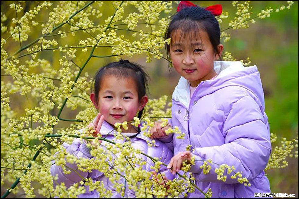 【春天,广西桂林灌阳县向您发出邀请!】米珠山前有片山苍子花在飘香 - 游山玩水 - 湛江生活社区 - 湛江28生活网 zhanjiang.28life.com