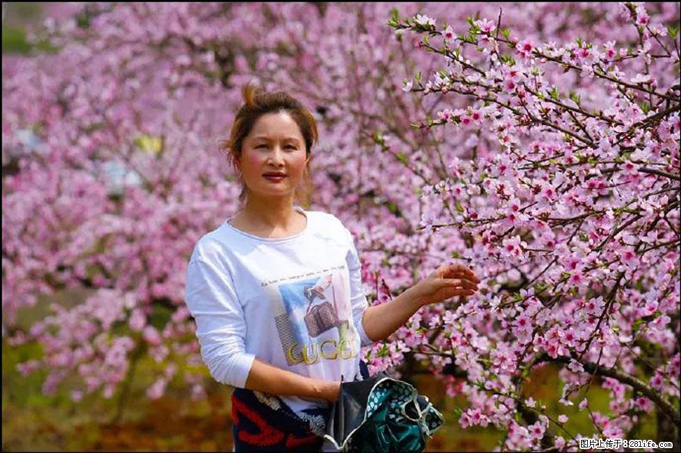 【春天,广西桂林灌阳县向您发出邀请!】官庄村有个醉美的桃花园 - 游山玩水 - 湛江生活社区 - 湛江28生活网 zhanjiang.28life.com