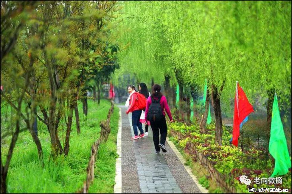 【春天,广西桂林灌阳县向您发出邀请!】江口老街又逢春 - 游山玩水 - 湛江生活社区 - 湛江28生活网 zhanjiang.28life.com