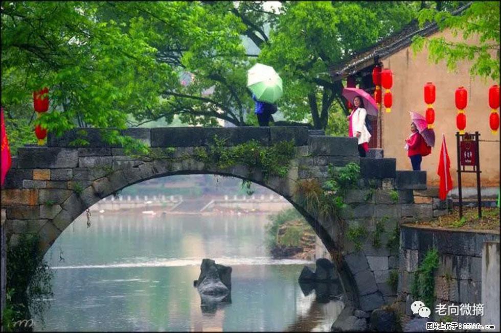【春天,广西桂林灌阳县向您发出邀请!】江口老街又逢春 - 游山玩水 - 湛江生活社区 - 湛江28生活网 zhanjiang.28life.com