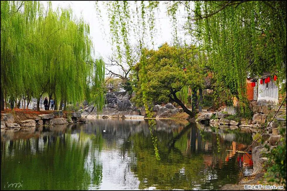 【春天,广西桂林灌阳县向您发出邀请!】江口老街又逢春 - 游山玩水 - 湛江生活社区 - 湛江28生活网 zhanjiang.28life.com