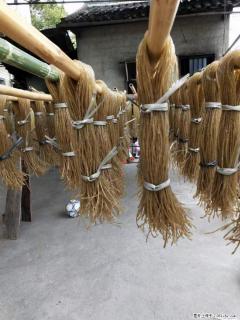 【灌阳正宗红薯粉】美女家里自己做的,干净卫生,假一赔十,价格合理,抢购电话:13737312895 - 湛江28生活网 zhanjiang.28life.com