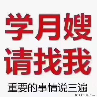 为什么要学习月嫂,育婴师? - 湛江28生活网 zhanjiang.28life.com