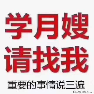 为什么要学习月嫂，育婴师？ - 湛江28生活网 zhanjiang.28life.com