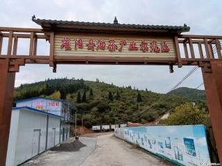 【灌阳县油茶产业示范区】一个有着充实的精神生活的人,对待身外之物自会有一种淡泊的态度 - 湛江28生活网 zhanjiang.28life.com