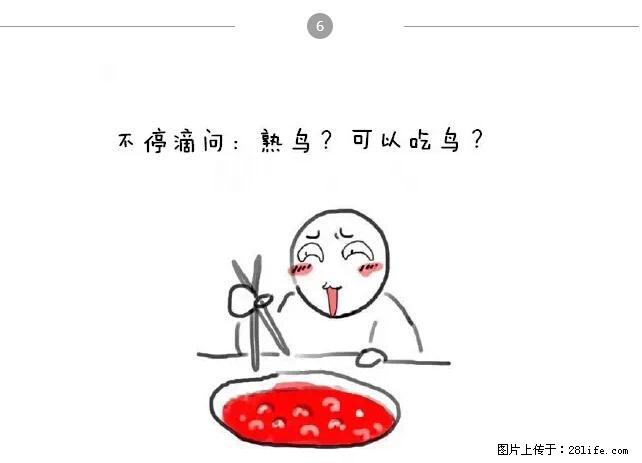千万不要和这9种哈卵一起吃火锅！ - 美食天地 - 湛江生活社区 - 湛江28生活网 zhanjiang.28life.com