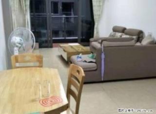 好房锦绣华景九克拉 豪华装修2房 急租 2800元 拎包入住 - 湛江28生活网 zhanjiang.28life.com