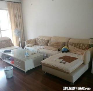 颐和花园 3房2厅1卫2阳 精致装修 采光好 交通便利 - 湛江28生活网 zhanjiang.28life.com