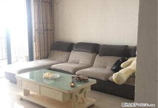 佳和广场精装修2房1厅,家私齐全随时拎包入住! - 湛江28生活网 zhanjiang.28life.com