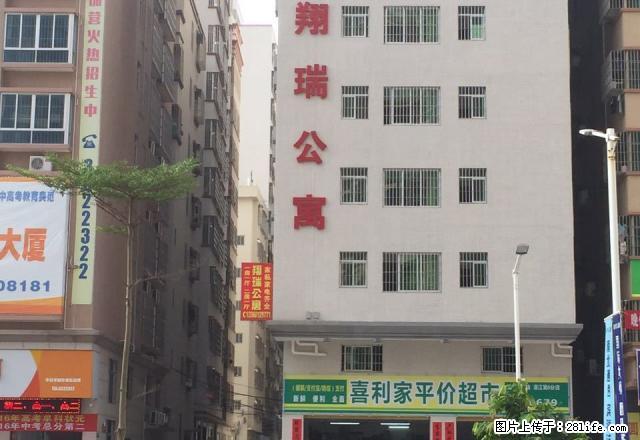 城市美林对面 全新电梯公寓出租 一房一厅 两房一厅(个人) - 房屋出租 - 房屋租售 - 湛江分类信息 - 湛江28生活网 zhanjiang.28life.com