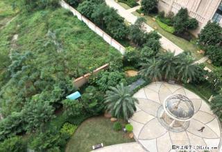 南国豪苑 2500元 2室2厅1卫 静装修，全家私电器出租 - 湛江28生活网 zhanjiang.28life.com