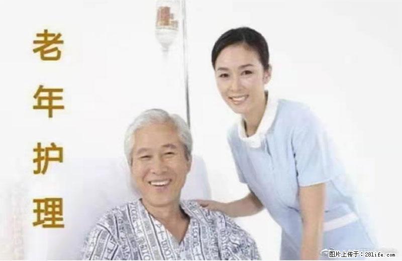 上海国企养老院,星级酒店环境,招聘养老护工 - 职场交流 - 湛江生活社区 - 湛江28生活网 zhanjiang.28life.com