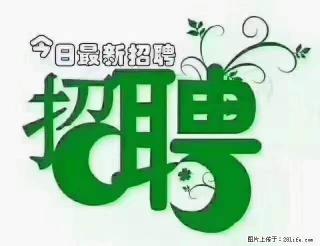 【招聘摄像师】待遇:试用期6000元/月,转正7000元/月+五险一金+餐补+节日福利+奖金 - 湛江28生活网 zhanjiang.28life.com