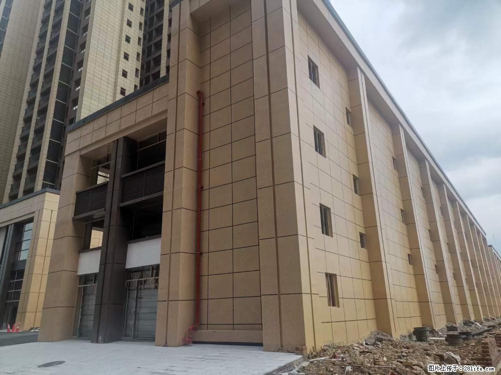 【广西三象建筑安装工程有限公司】外墙涂料工程 - 新手上路 - 湛江生活社区 - 湛江28生活网 zhanjiang.28life.com