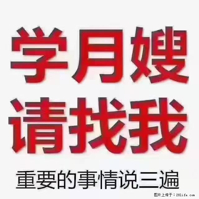 【招聘】月嫂,上海徐汇区 - 职场交流 - 湛江生活社区 - 湛江28生活网 zhanjiang.28life.com