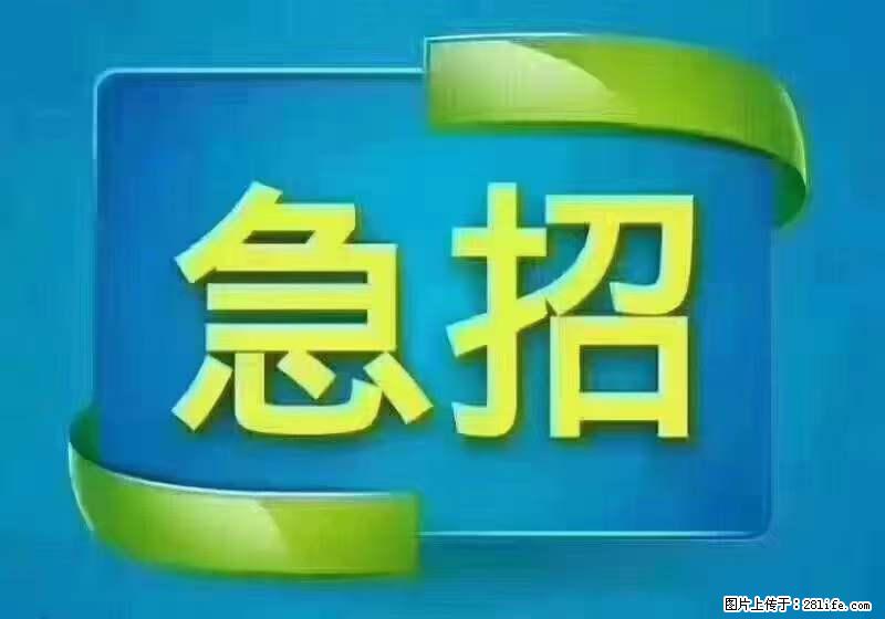 招财务，有会计证的，熟手会计1.1万底薪，上海五险一金，包住，包工作餐，做六休一 - 人事/行政/管理 - 招聘求职 - 湛江分类信息 - 湛江28生活网 zhanjiang.28life.com