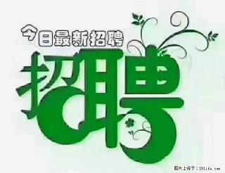 上海青浦区招仓管 - 湛江28生活网 zhanjiang.28life.com