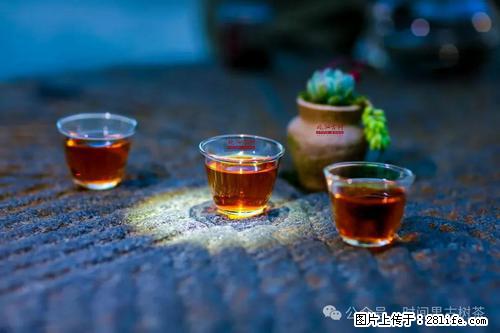 时间果百年古树2025年春红茶 - 购物交流 - 湛江生活社区 - 湛江28生活网 zhanjiang.28life.com