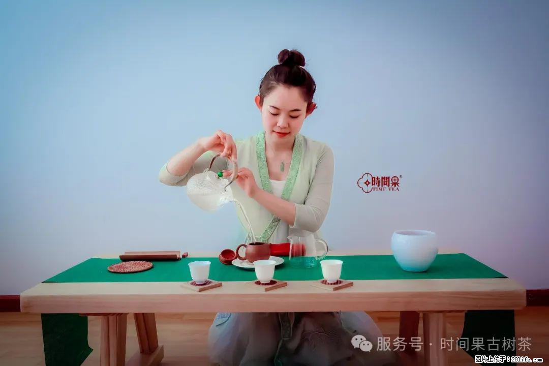 时间果百年古树龙珠普洱生茶 - 购物交流 - 湛江生活社区 - 湛江28生活网 zhanjiang.28life.com