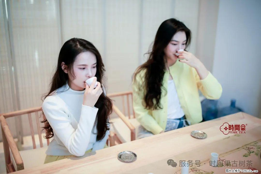 时间果百年古树龙珠普洱生茶 - 购物交流 - 湛江生活社区 - 湛江28生活网 zhanjiang.28life.com