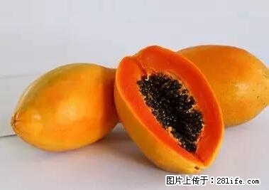 晕车、脚气、牙齿变黄、皮肤粗糙?学会这些三分钟搞定! - 湛江生活资讯 - 湛江28生活网 zhanjiang.28life.com