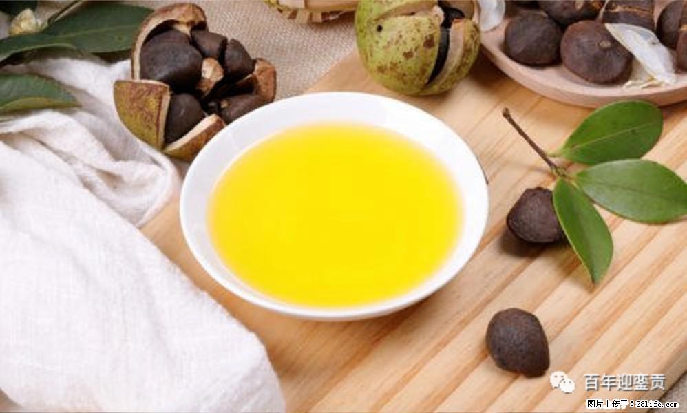揭秘茶油的5大核心营养成分！被称为人体健康的“守护盾”！ - 湛江生活资讯 - 湛江28生活网 zhanjiang.28life.com