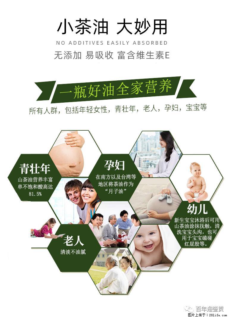 世界没有真相,只有认知,最好的食用油是中国的山茶油! - 湛江生活资讯 - 湛江28生活网 zhanjiang.28life.com