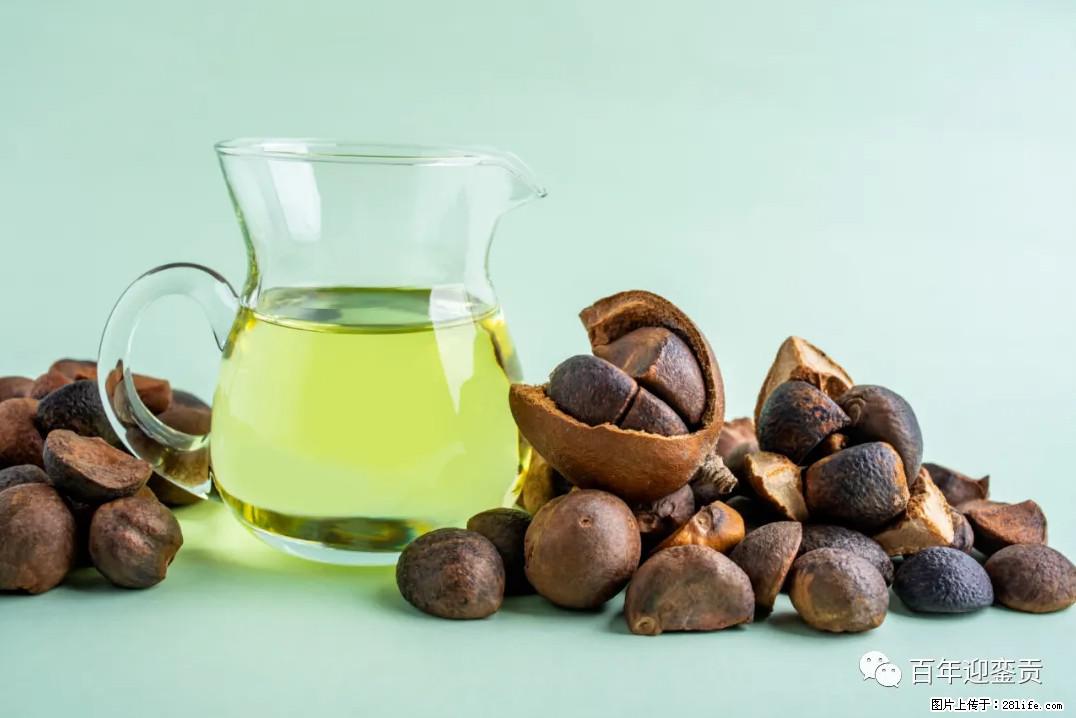 世界没有真相,只有认知,最好的食用油是中国的山茶油! - 湛江生活资讯 - 湛江28生活网 zhanjiang.28life.com