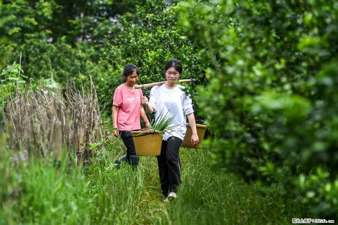 全网追的“扁担女孩”，找了一份暑假工，时薪12元 - 湛江生活资讯 - 湛江28生活网 zhanjiang.28life.com