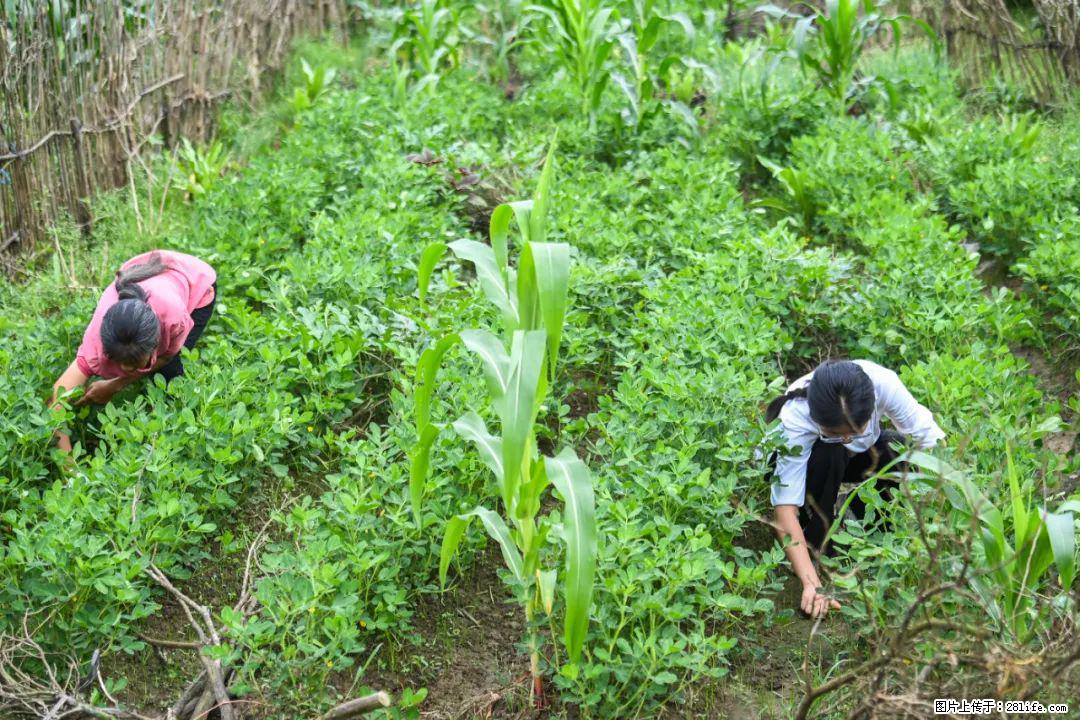全网追的“扁担女孩”，找了一份暑假工，时薪12元 - 湛江生活资讯 - 湛江28生活网 zhanjiang.28life.com