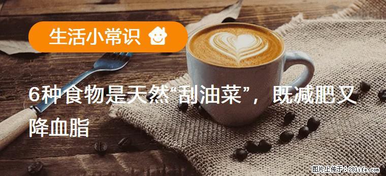 【生活小常识】6种食物是天然“刮油菜”，既减肥又降血脂 - 湛江生活资讯 - 湛江28生活网 zhanjiang.28life.com