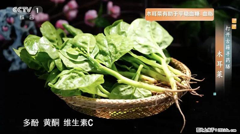 比牛奶补钙还厉害！凉血解毒、稳血糖...这菜冬天必吃，很多人却当草 - 湛江生活资讯 - 湛江28生活网 zhanjiang.28life.com