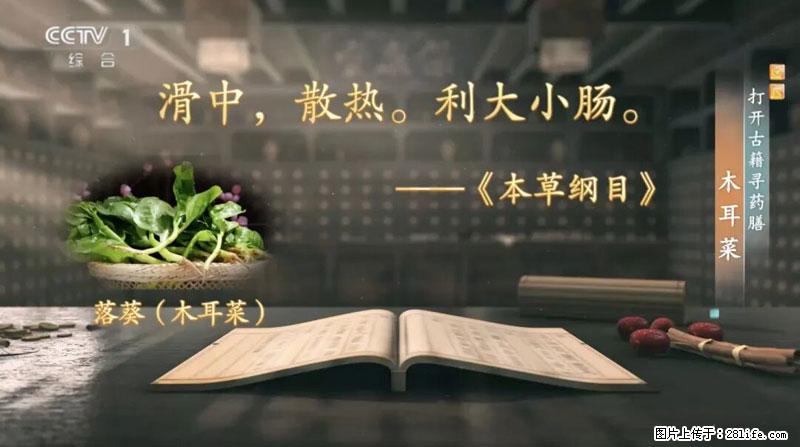 比牛奶补钙还厉害！凉血解毒、稳血糖...这菜冬天必吃，很多人却当草 - 湛江生活资讯 - 湛江28生活网 zhanjiang.28life.com