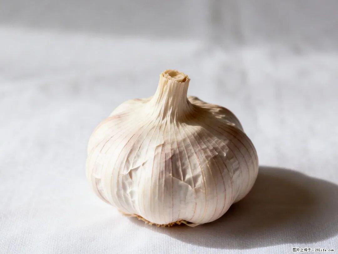 关于大蒜，除了“天然抗生素”，这4个谣言更该警惕! - 湛江生活资讯 - 湛江28生活网 zhanjiang.28life.com
