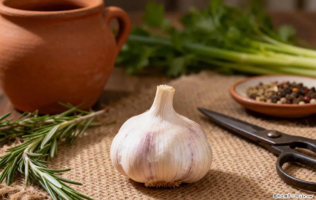 关于大蒜，除了“天然抗生素”，这4个谣言更该警惕! - 湛江生活资讯 - 湛江28生活网 zhanjiang.28life.com