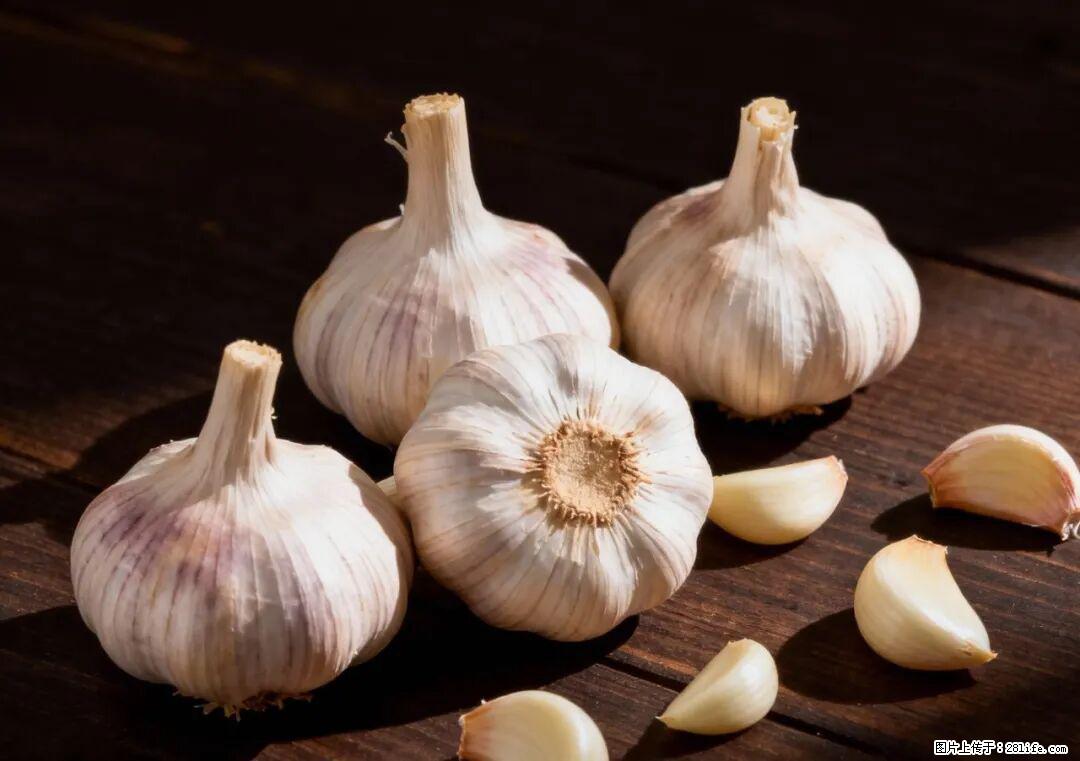 关于大蒜，除了“天然抗生素”，这4个谣言更该警惕! - 湛江生活资讯 - 湛江28生活网 zhanjiang.28life.com