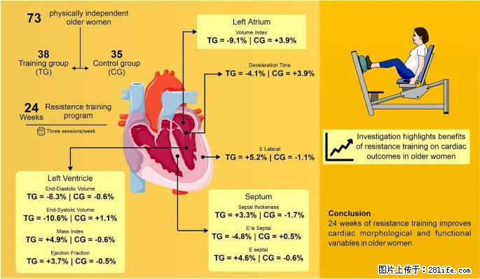 坚持这种运动6个月，心脏有了显著变化！不是跑步，也不是走路 - 湛江生活资讯 - 湛江28生活网 zhanjiang.28life.com